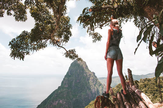 Tet Paul Nature Trail- Hike the Natural St. Lucian Stairway in 45 Minutes for a Price Only $10 USD Per Person